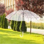 Clear white Umbrella 32inch