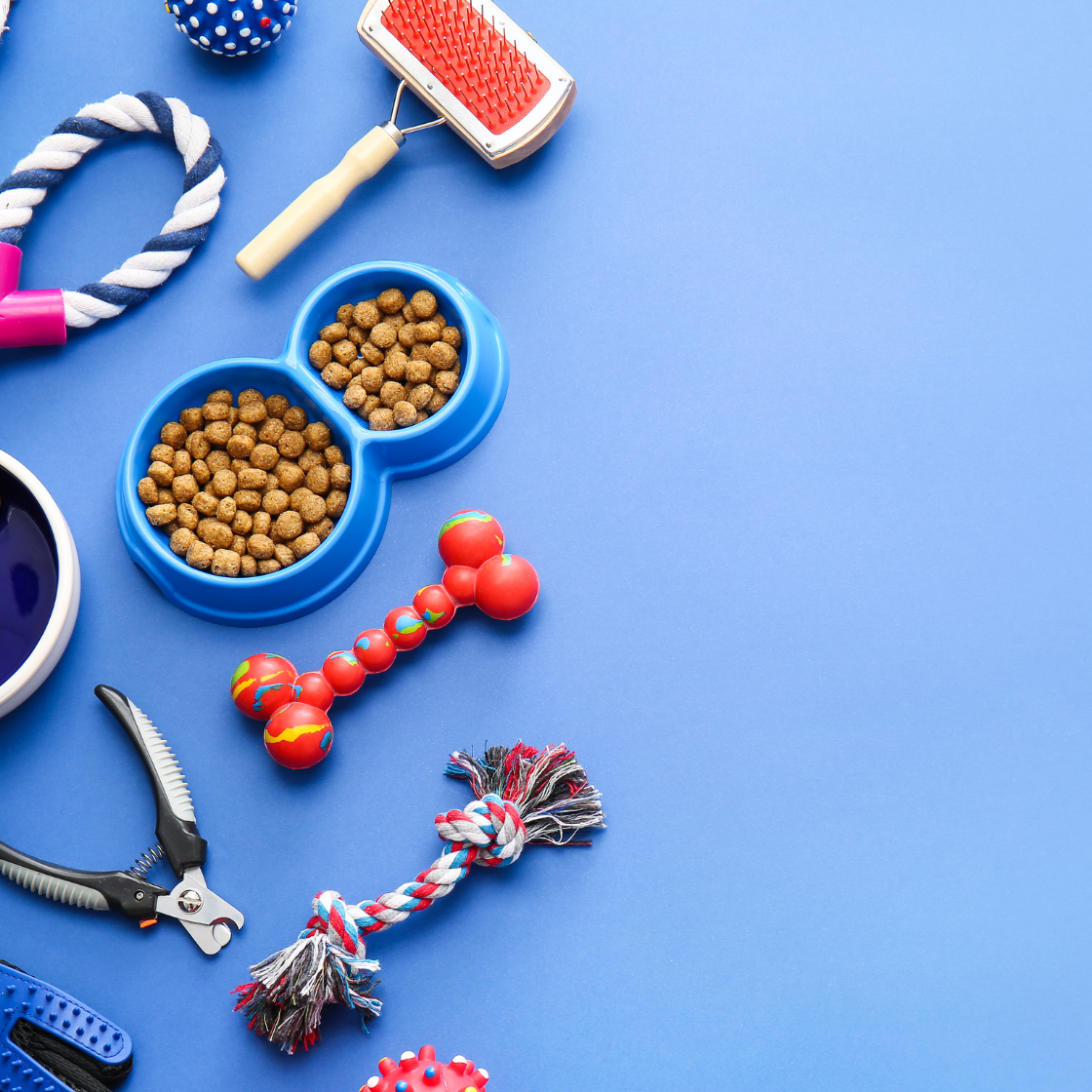 Pet Supplies - Pay4more.ca